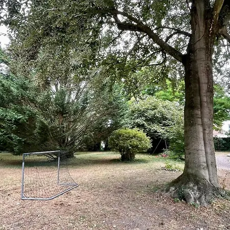 Maison Agami - Piscine, - De 15 A 30 Personnes - Nancy Villa *